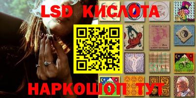 прущие грибы Чебоксары
