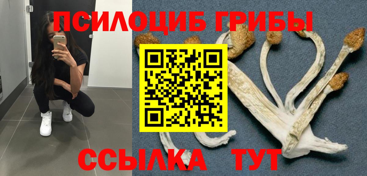 Галлюциногенные грибы Psilocybine cubensis  Псилоцибиновые грибы ЛСД  Большой Камень  Вход с VPN 