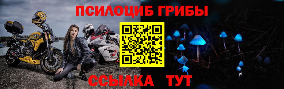 Псилоцибиновые грибы ЛСД Большой Камень